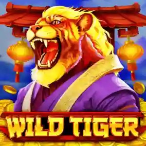 Wild Tiger online game logo by BGAMING on beticocasino.de